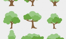 大树漫画图片,描绘生活百态，传递温馨情感