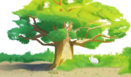 大树漫画图片,描绘生活百态，传递温馨情感